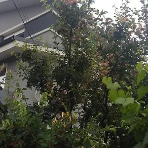 Pensiune Hello, Bucureşti